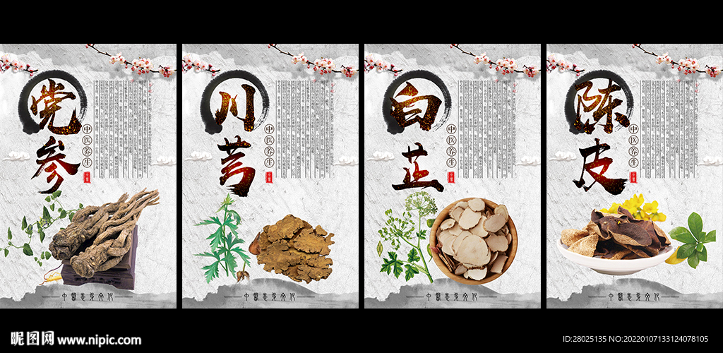滋补中药