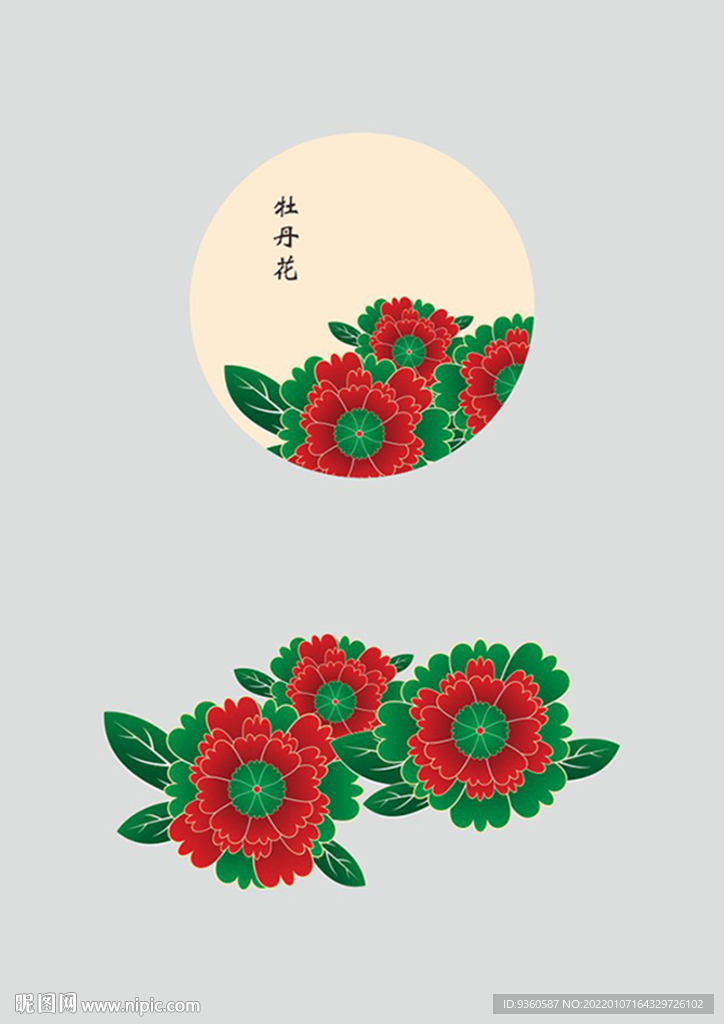 牡丹花