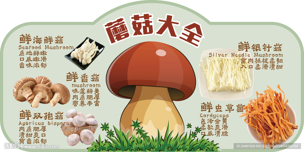 蘑菇大全超市吊牌