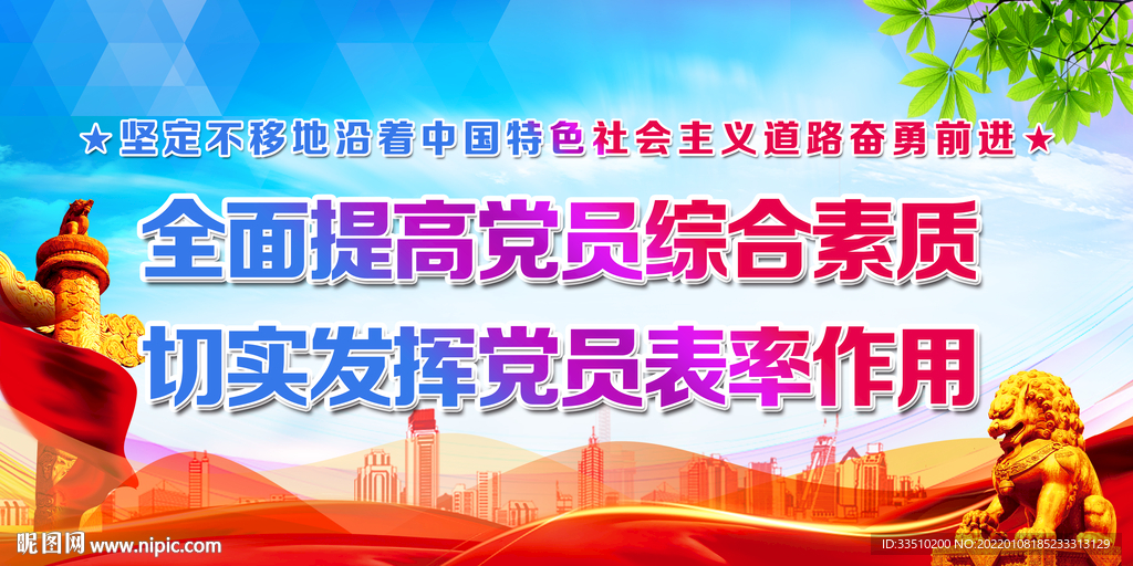 全面提高党员综合素质