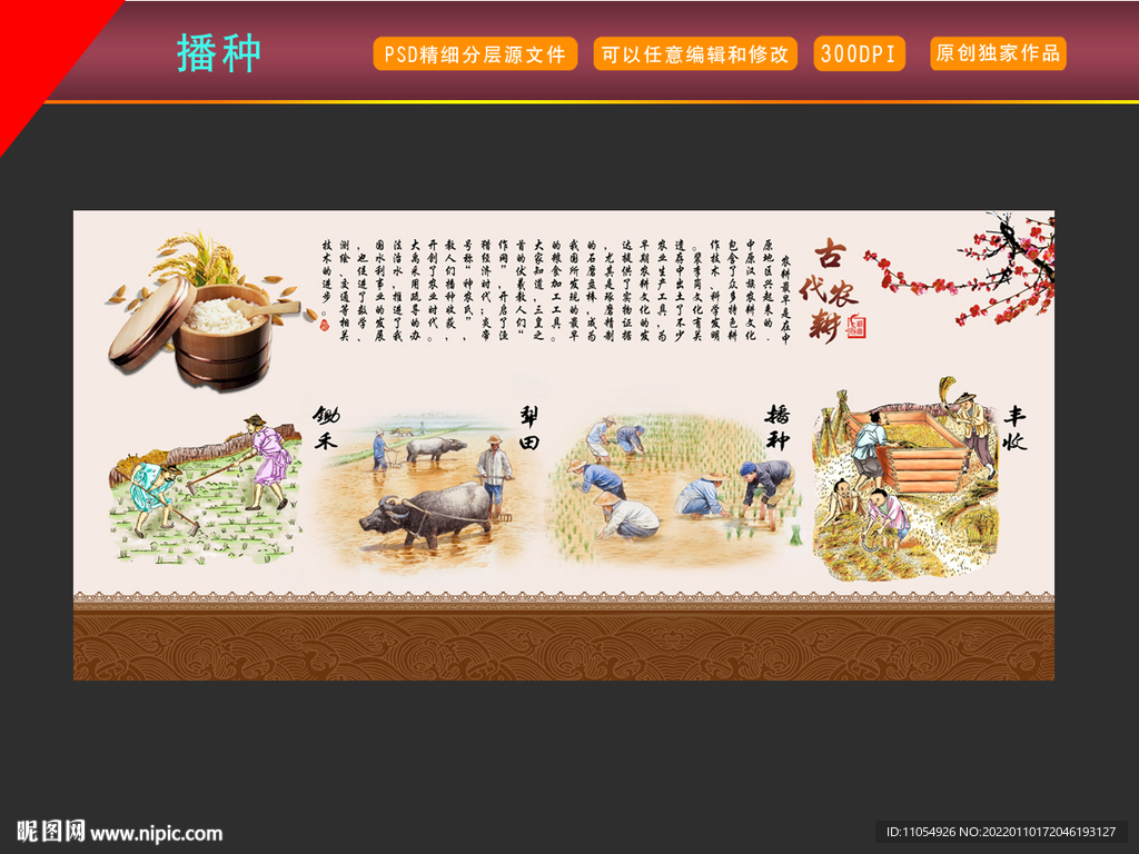 播种