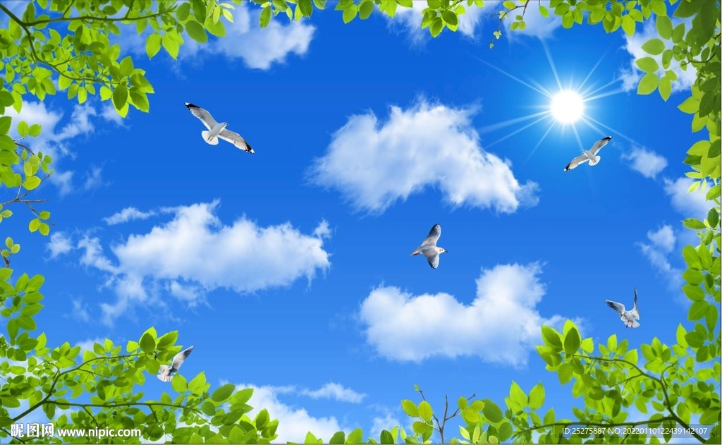 蓝天白云绿叶鸽子