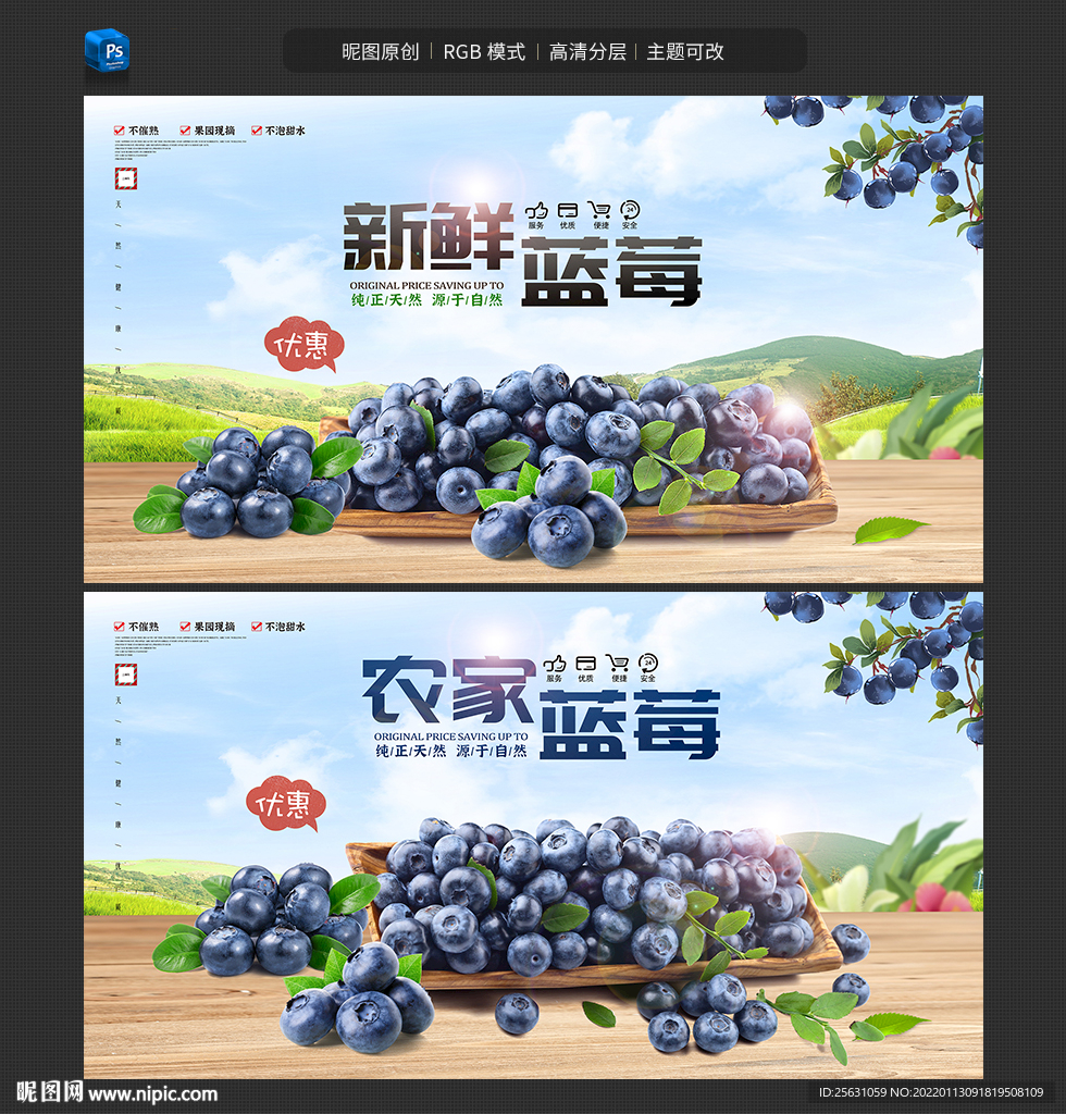 蓝莓