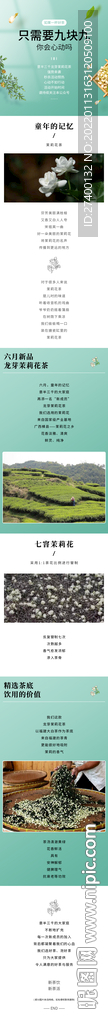 龙牙茉莉花茶排版信息长图