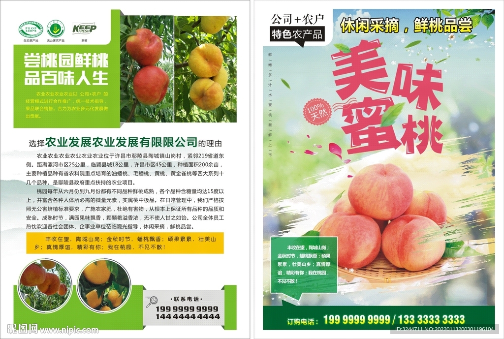 蜜桃单页宣传页