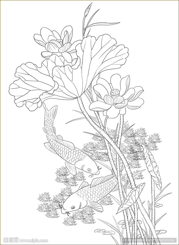 荷花