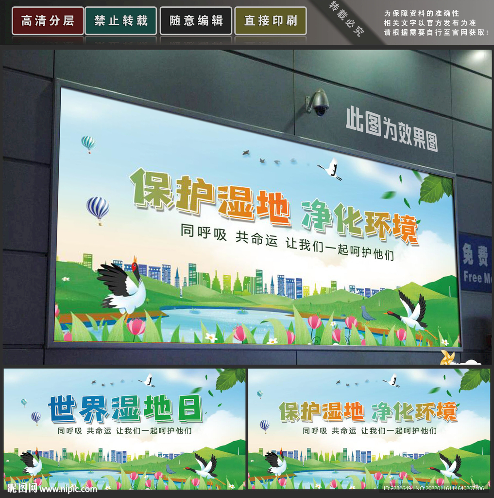 湿地日