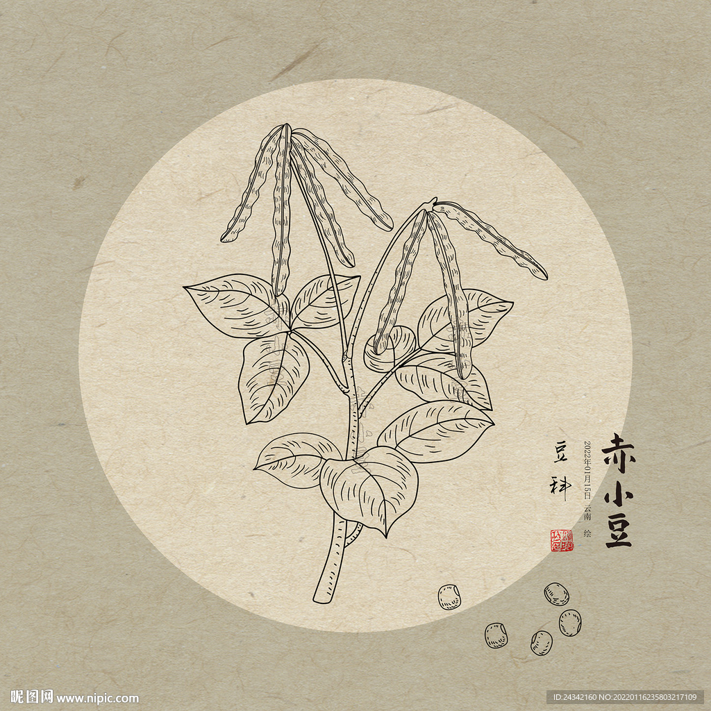 赤小豆