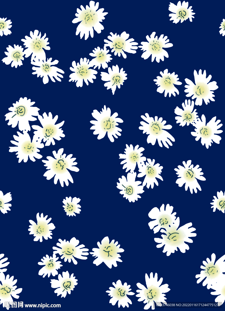 深蓝底白菊花