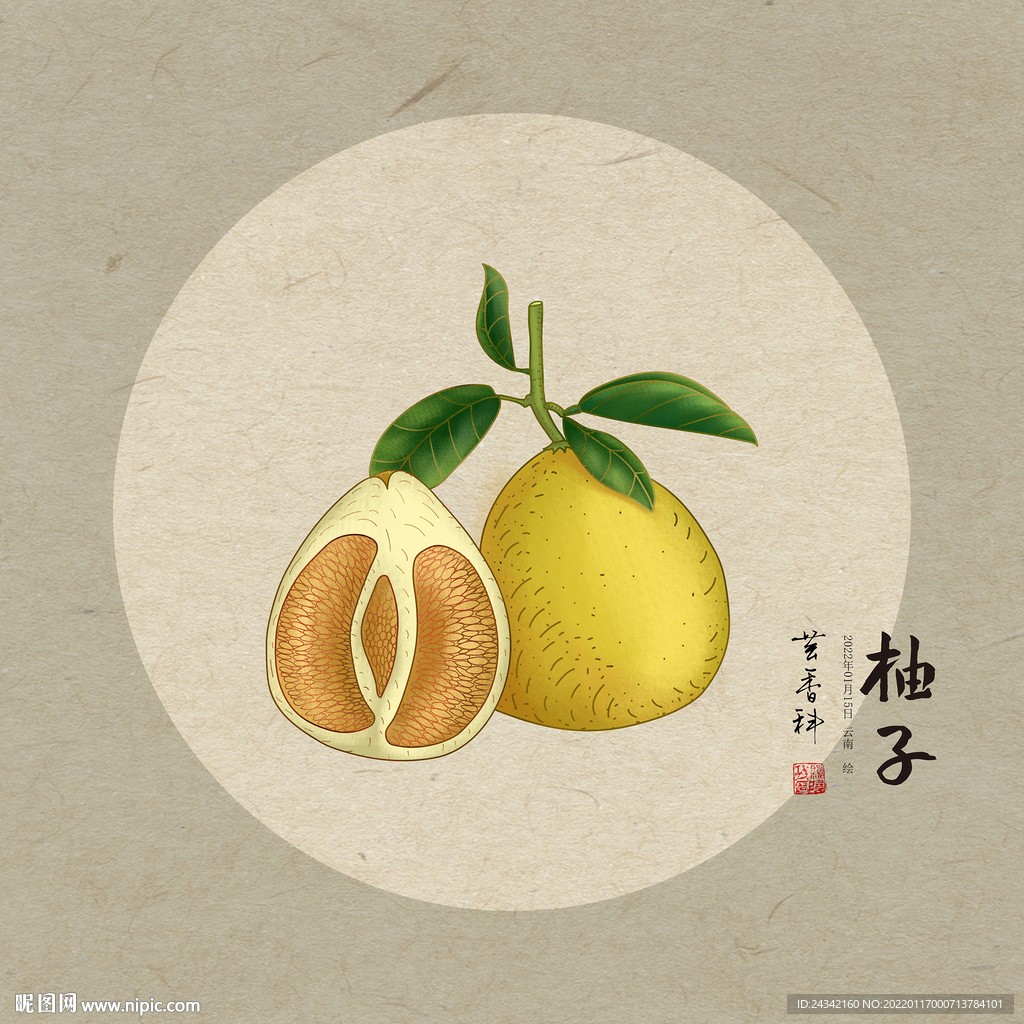 柚子