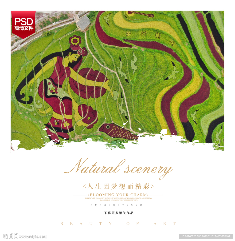 云南昆明核桃箐彩色稻田