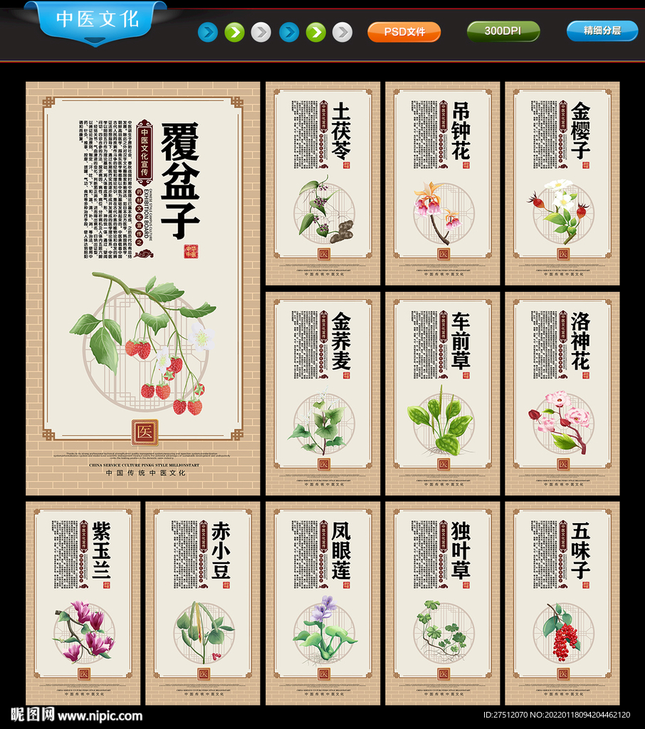 中医药材