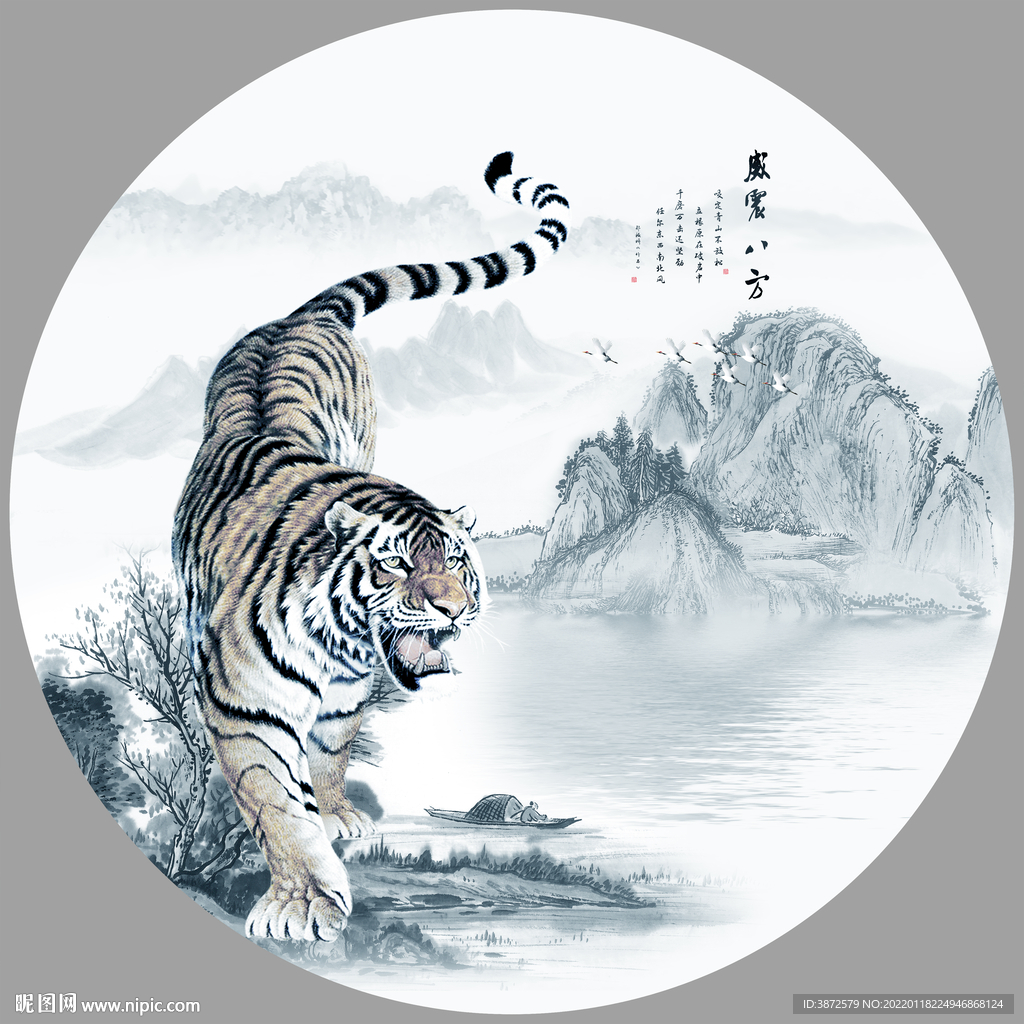 老虎