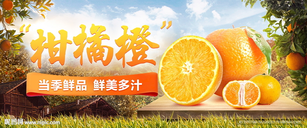 柑橘橙海报