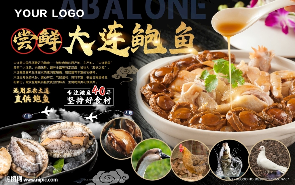 鲍鱼海报