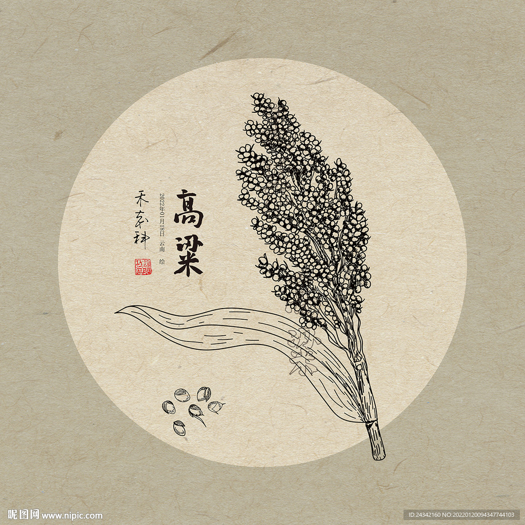 手绘高粱