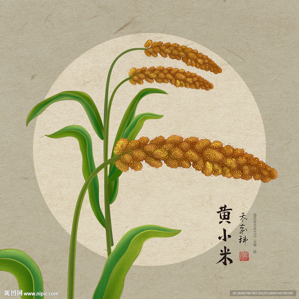 手绘小米