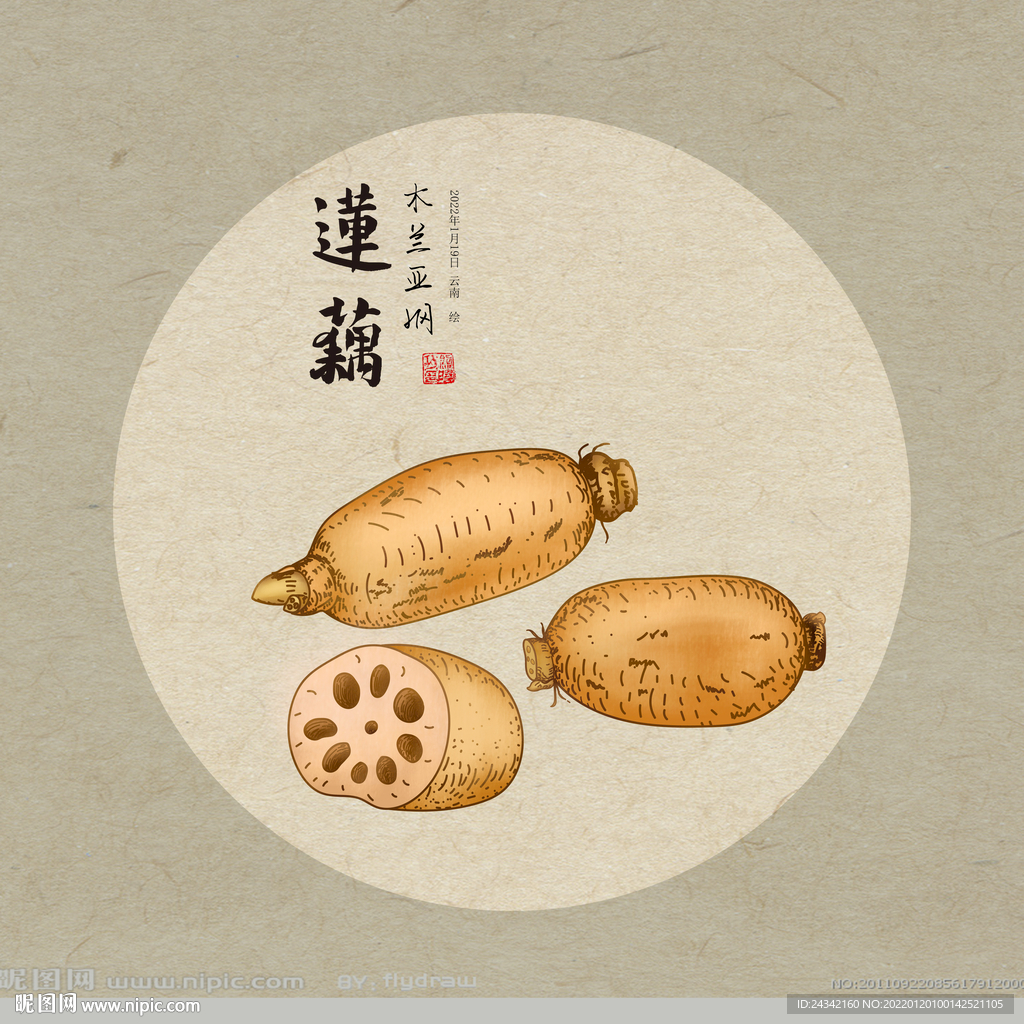 手绘莲藕