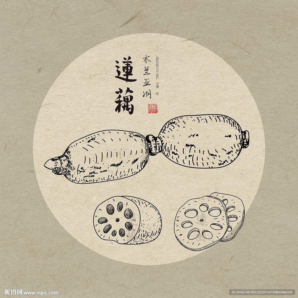手绘莲藕