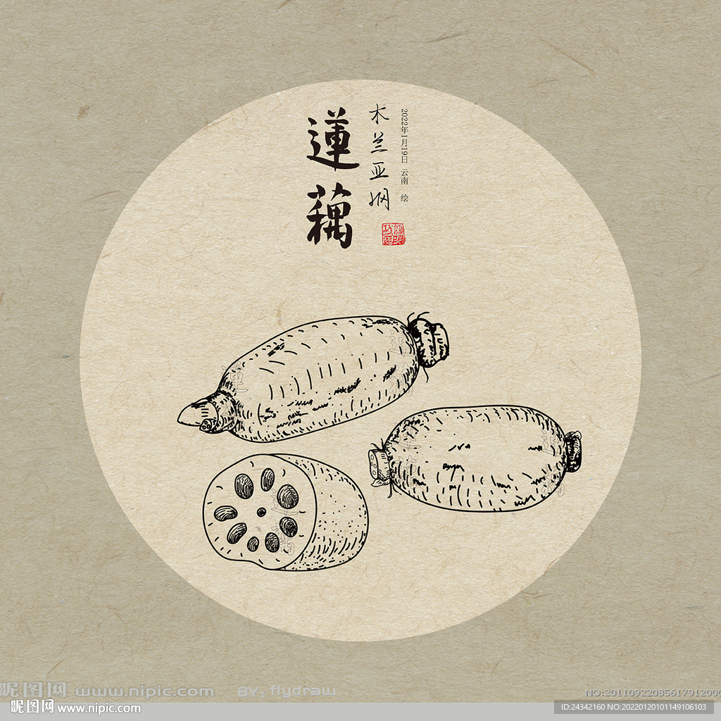 手绘莲藕