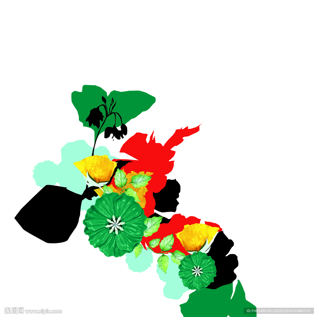 荷花