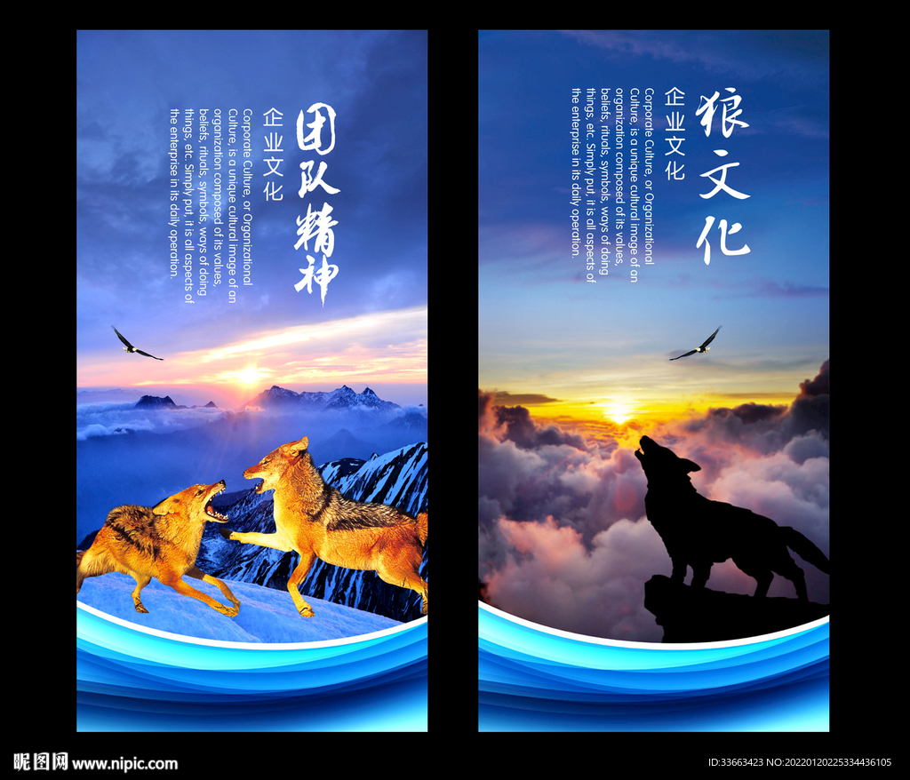 狼