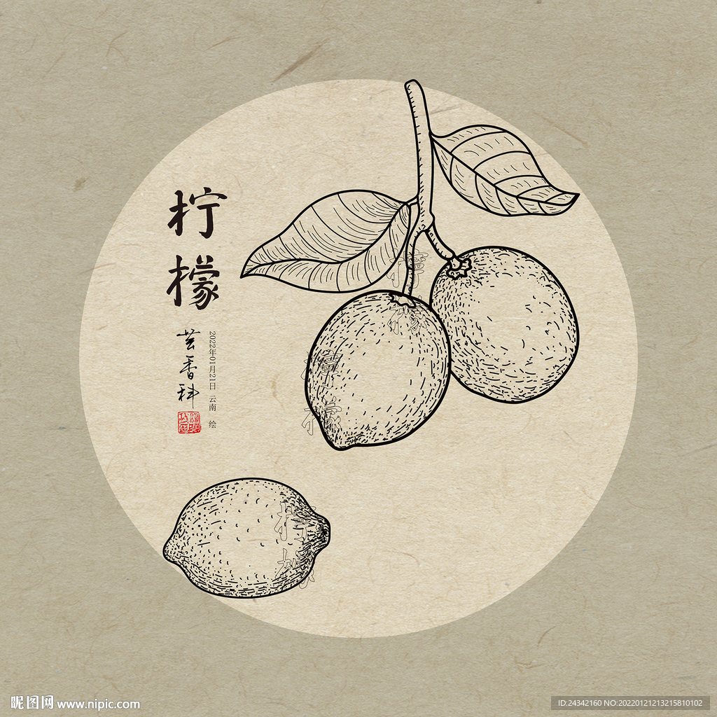 手绘柠檬