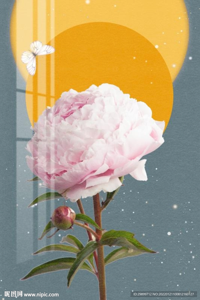 牡丹