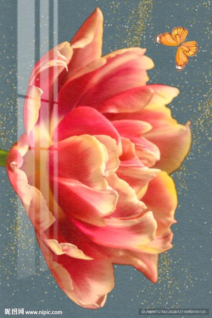 蝴蝶
