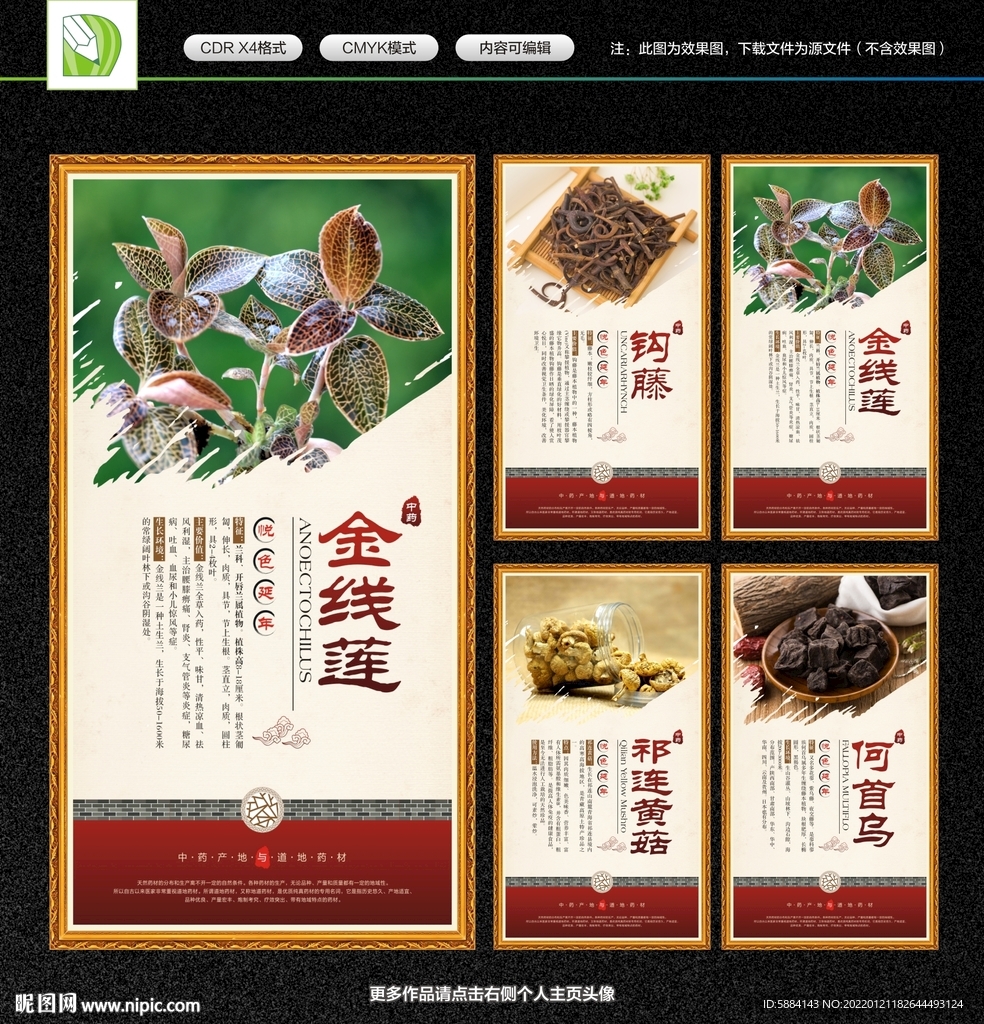 中药展板