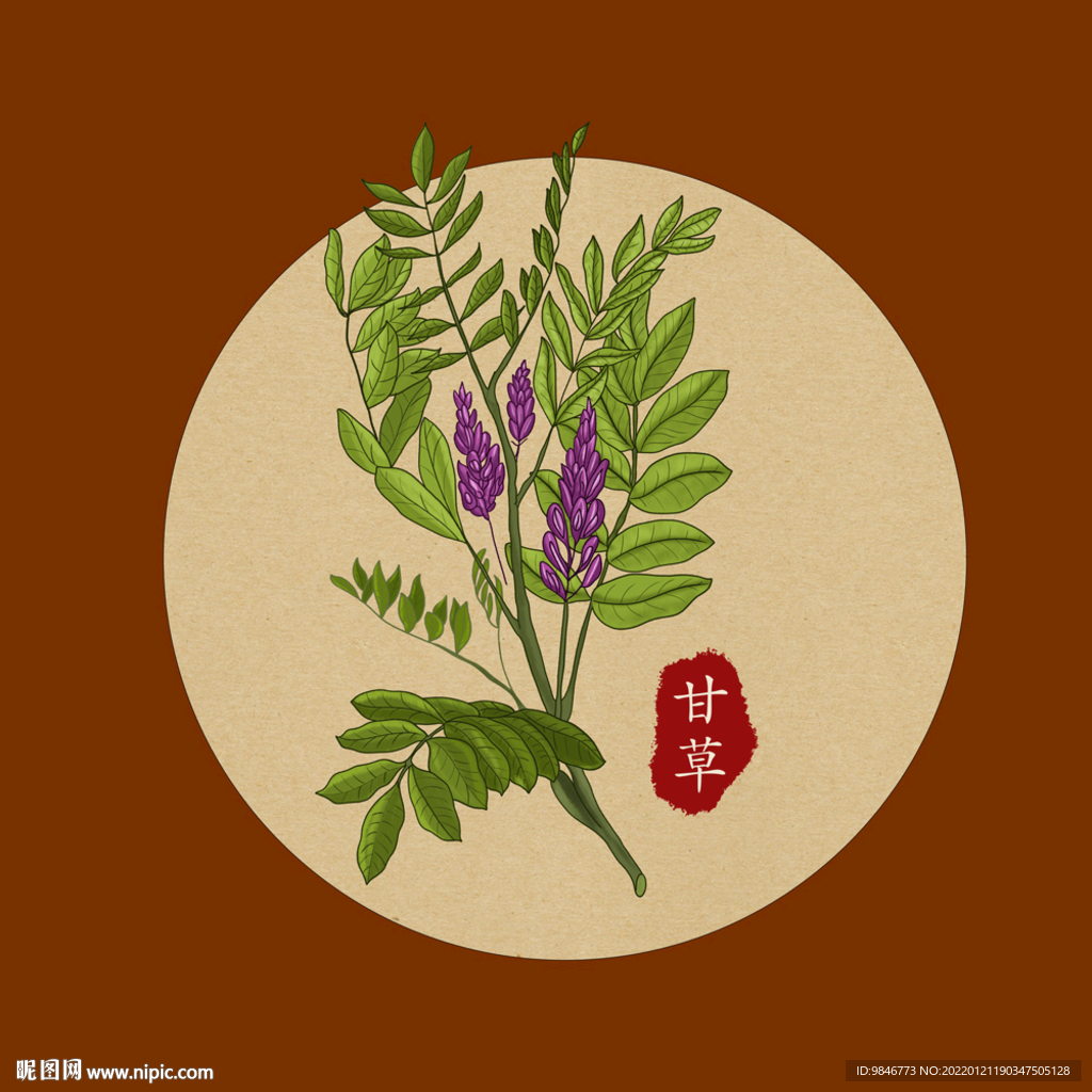 甘草手绘