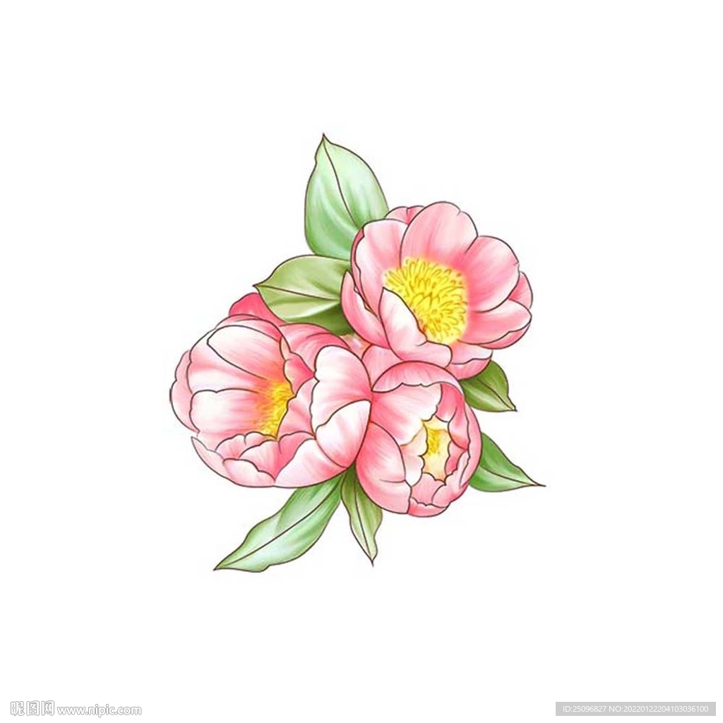 手绘花