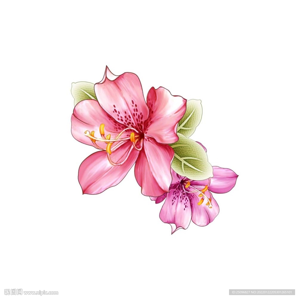 手绘花