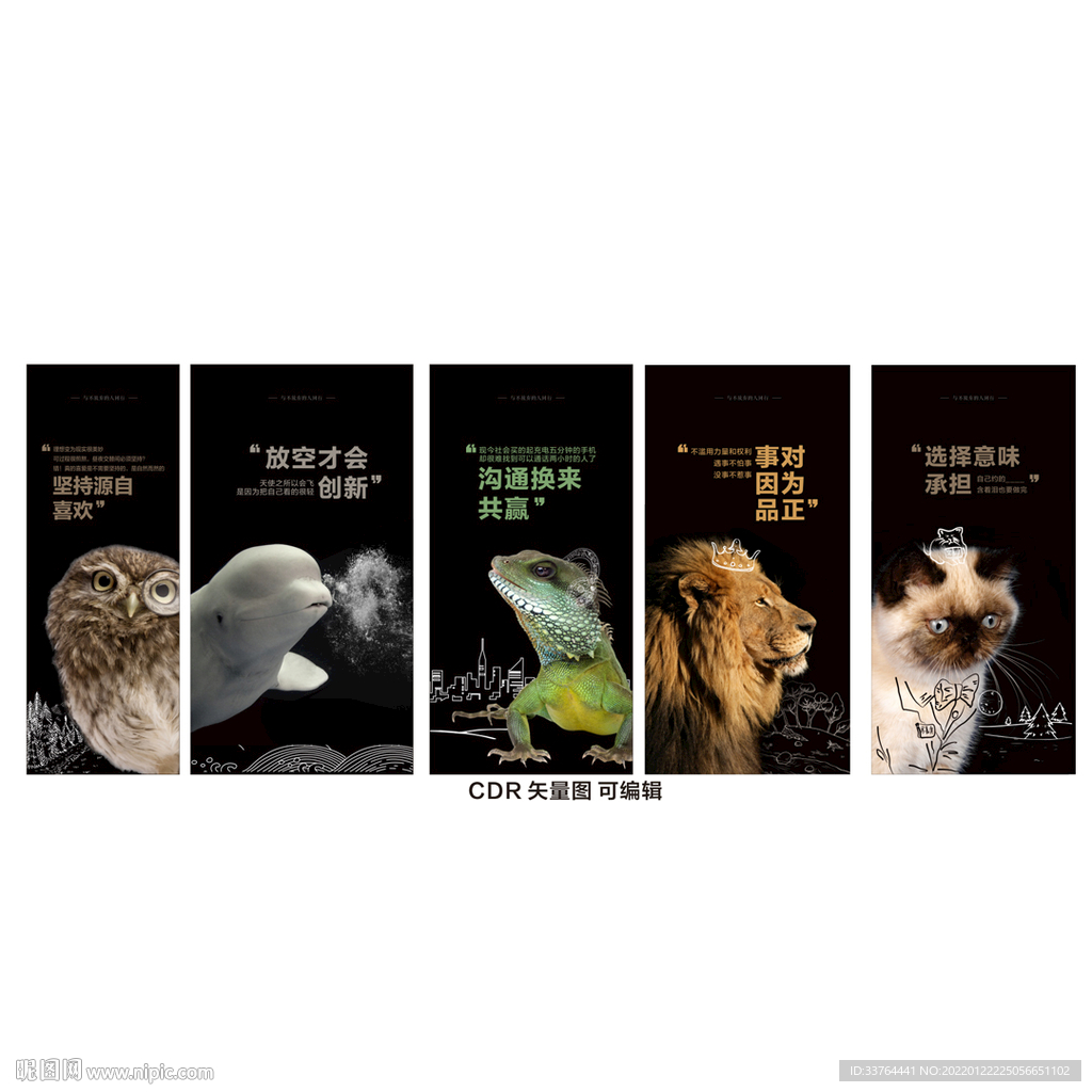高端创意企业文化