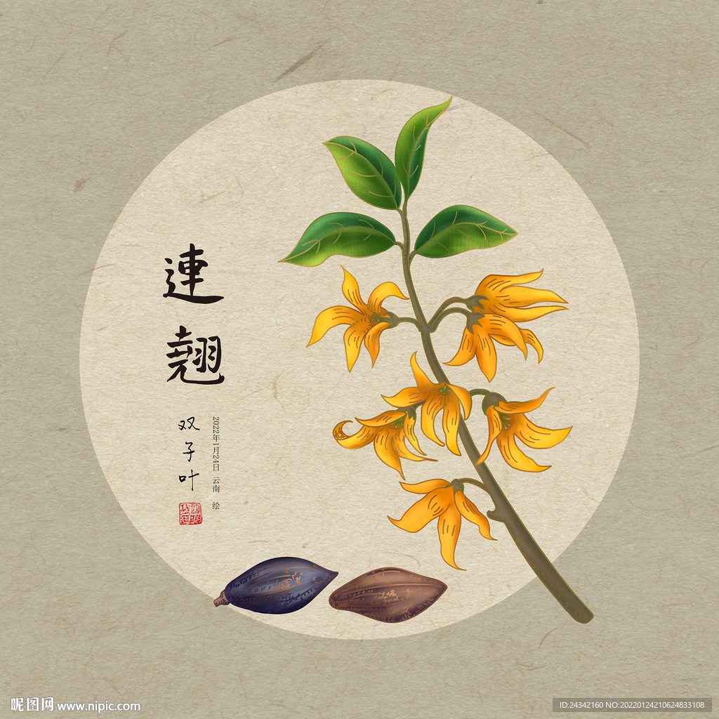 连翘