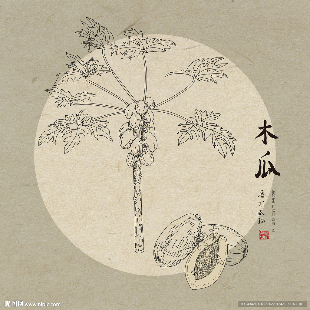 手绘木瓜