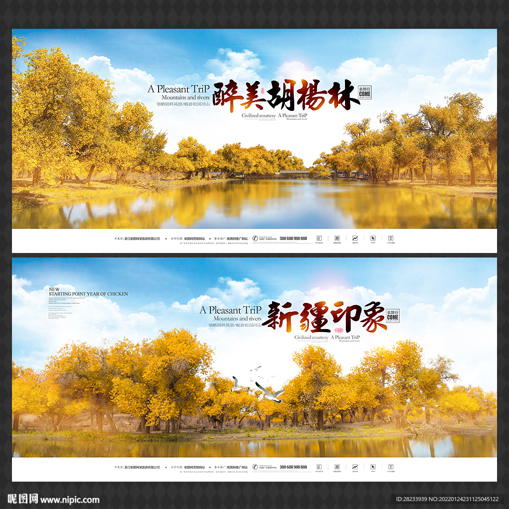 胡杨林