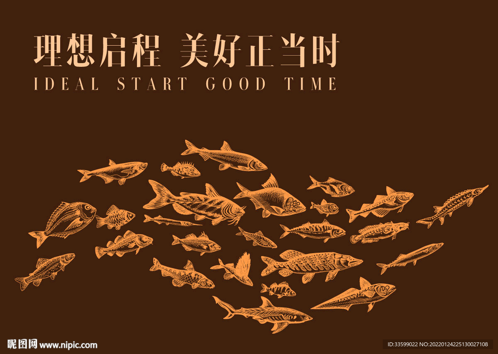鱼 插画