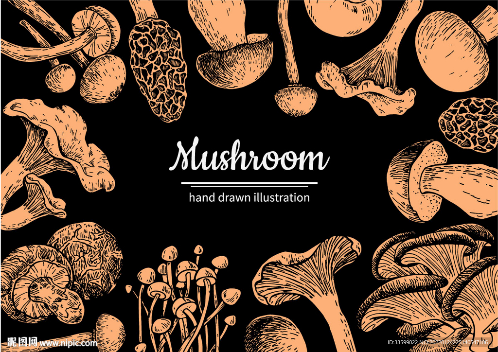 香菇蘑菇手绘美食插画