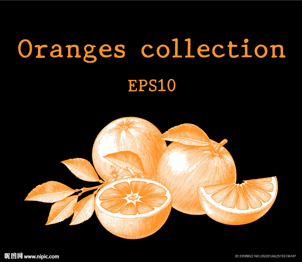 橘子包装插画