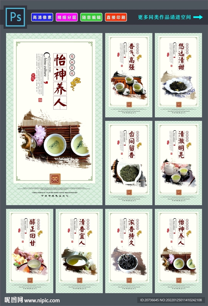 信阳毛尖