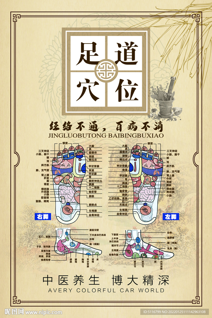 足疗 穴位图