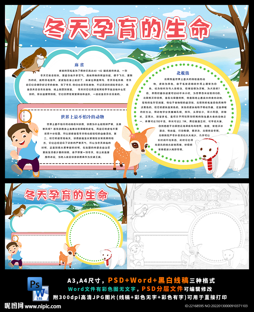冬天孕育的动物生命保护野生动物