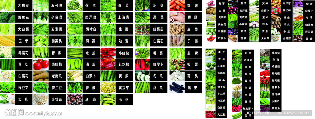 蔬菜品名制作设计