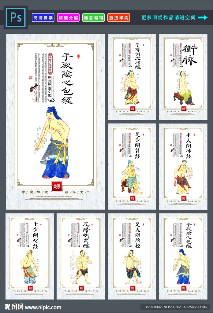 中医经络