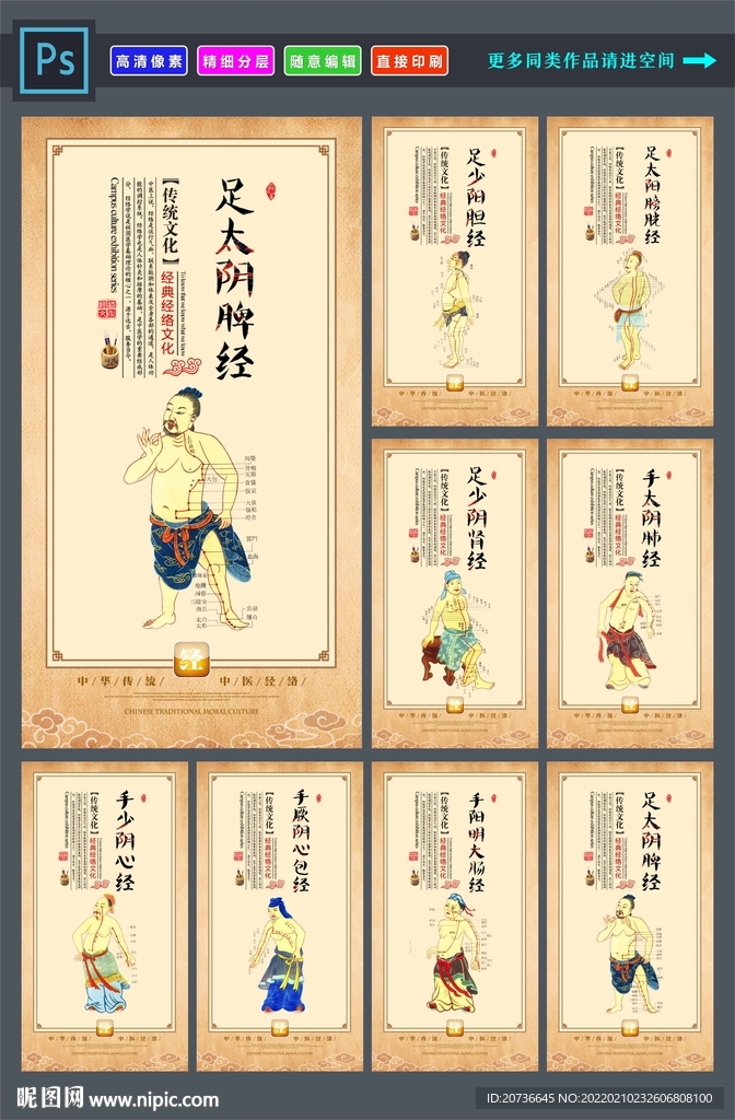 中医经络