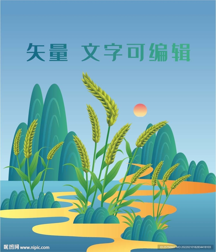 麦田