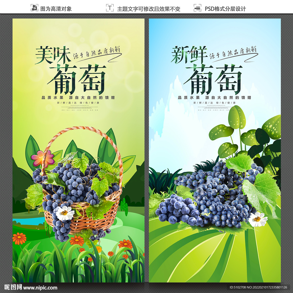 葡萄
