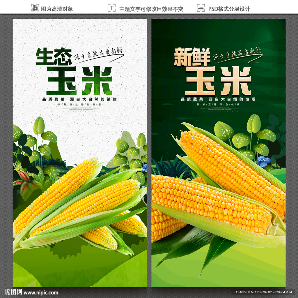玉米