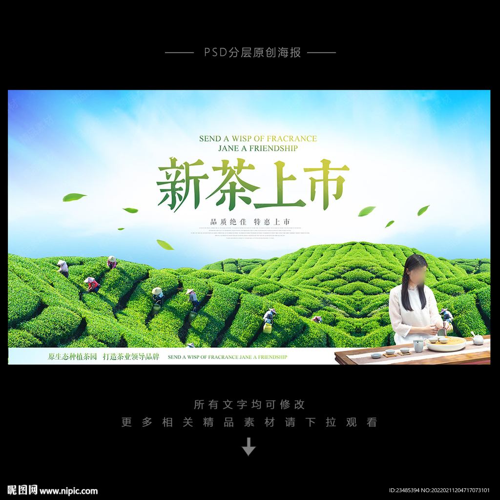 新茶上市